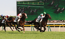 日本中央競馬会