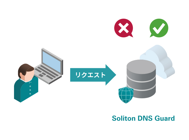 Soliton DNS Guard