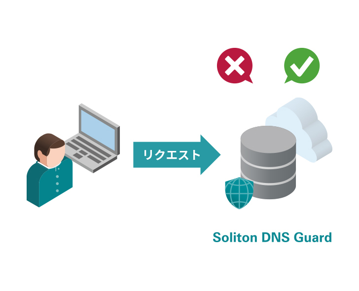 Soliton DNS Guard