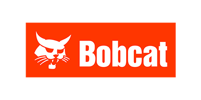 Bobcat