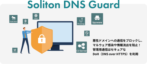 Soliton DNS Guard